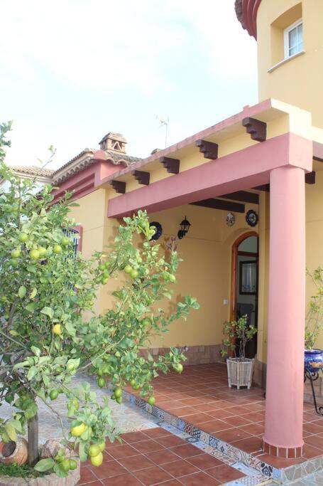 Casa 4 En * Ayamonte